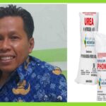 Pendistribusian Pupuk Bersubsidi Kabupaten Dompu Sejumlah 5.515 ton Urea dan 2.714,3 ton NPK