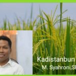 Realisasi Tanam Jagung Di Kab Dompu   Periode Oktober 2023 - Maret 2024 Capai  47.092 Ha.