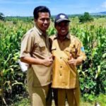 Hasil Monitoring Serta Data Realisasi Tanam Statistik Pertanian Puncak Panen Jagung Di Kab. Dompu Diprediksi Akhir Maret 2024.