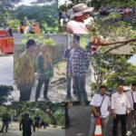 Respon Cepat Instruksi Pj. Gubernur, Dinas PUPR Provinsi NTB, Lakukan Pemangkasan Ranting Pohon Sepanjang Jalan Bypass.