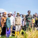 Panen Raya Nasional Serentak Di Dompu, Juga Disaksikan Langsung Presiden RI Prabowo Subianto Melalui Siaran Virtual