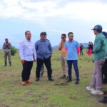 Bupati Dompu Ajak Wabup Berau Melihat Langsung Pertenakan Sapi, Pengembalaan Di Padang Savana Doro Ncanga.