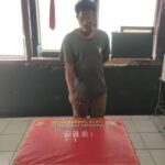 Misteri Pengedar Shabu Di Ladang Tembakau Berhasil Diungkap Tim Satresnarkoba