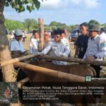 “Dompu Melayani” Bupati Secara Simbolis Lakukan Penyuntikan Vaksinasi Di Desa Karombo