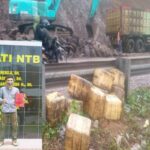 SRD, Kecam PT. REP Atas Dugaan Penggunaan BBM Bersubsidi Jenis Solar/Biosolar Untuk Kebutuhan Operasional Proyek 