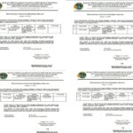 Berita Kehilangan 4 Sertifikat Tanah Yang Berlokasi Di Desa Lepadi.