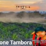 Drone Tambora, Hadir Sebagai Solusi Untuk Permudah Petani Di Dompu.